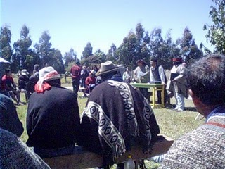 Tercer Wallmapu Futa Trawun - Lof-mapu María Trecanahuel de Panguipulli –Huillimapu