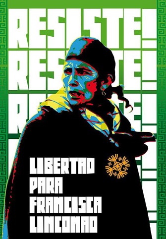  La machi Francisca Linconao debe esperar el juicio en libertad