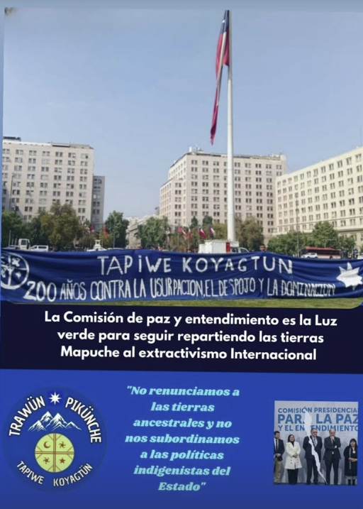 Fuente: Trawün Pikün