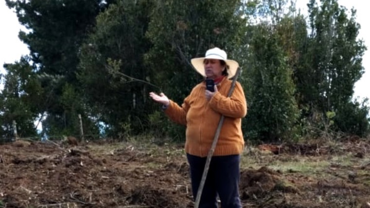 Francisca Curihuinca Calcumil
