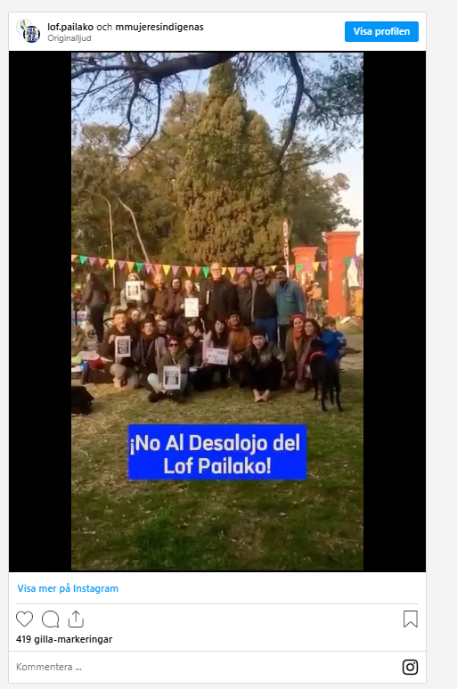 pagina12.jpeg